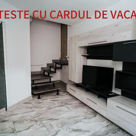 Apartment Attic Sibiu Bagian luar foto